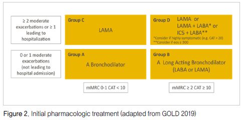 GOLD 2019 가이드라인: LAMA/LABA 복합제의 현주소