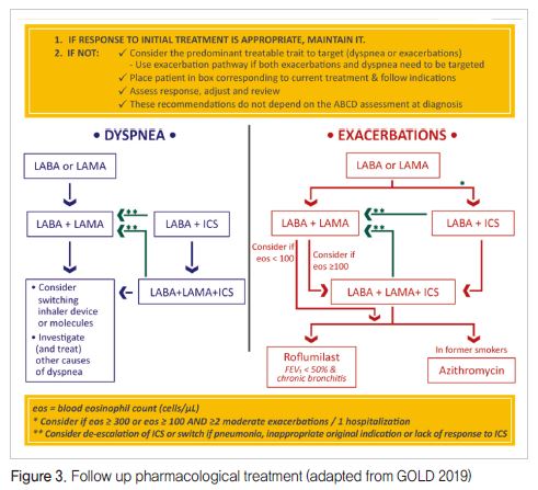 GOLD 2019 가이드라인: LAMA/LABA 복합제의 현주소