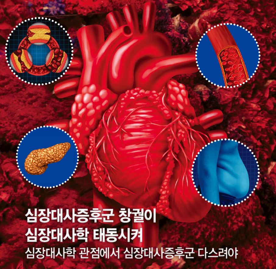 심장대사증후군 창궐이 심장대사학 태동심장대사학 관점에서심장대사증후군 다스려야 < 순환기 < Cover Story < 기사본문 - THE  MOST(더모스트)